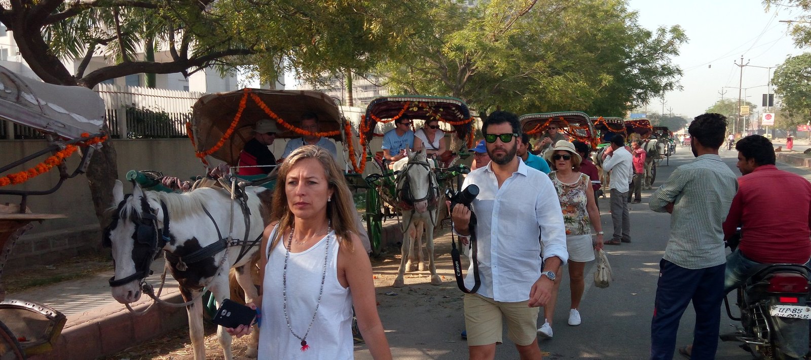 horse ride in agra