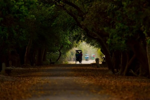 From Agra: 2 Days Agra with Bharatpur Bird Sanctuary tour with Hotel Stay Image