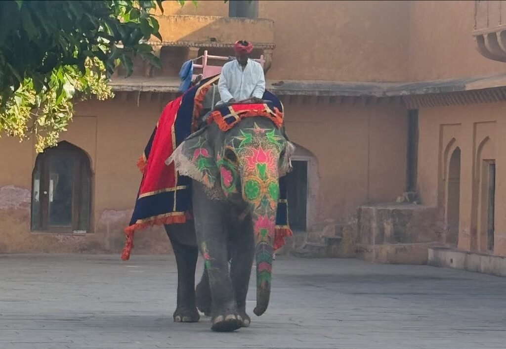 Jaipur 2 Days Package Tour with Guide and Accommodation  Image
